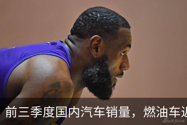 前三季度国内汽车销量，燃油车近乎腰斩，比亚迪销量断崖领先