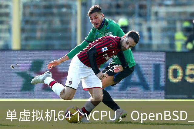单虚拟机64个vCPU，OpenBSD 8.0把虚拟化拉满了