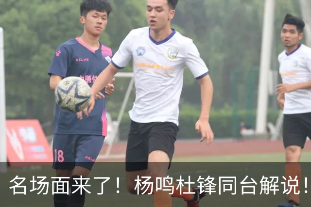 名场面来了！杨鸣杜锋同台解说！昔日总决赛死敌演播室一笑泯恩仇
