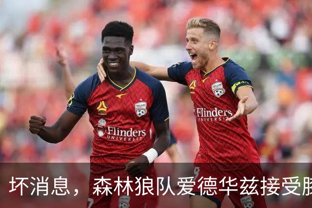 坏消息，森林狼队爱德华兹接受膝关节镜手术，将缺席两个月