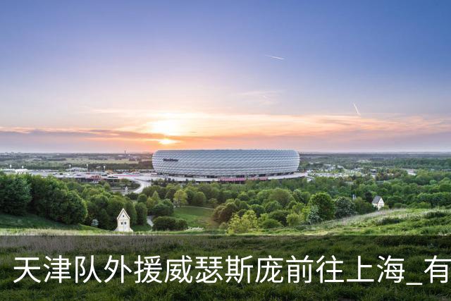 天津队外援威瑟斯庞前往上海 有望出战第2阶段