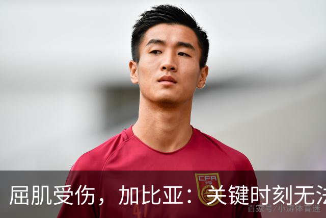 屈肌受伤，加比亚：关键时刻无法帮助球队，会尽一切努力尽快复出