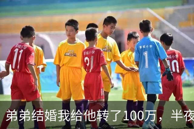 弟弟结婚我给他转了100万，半夜他突然发来消息：姐，这钱先退你