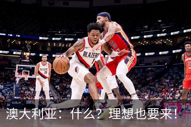 澳大利亚：什么？理想也要来！