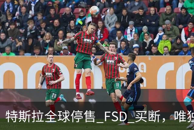 特斯拉全球停售 FSD 买断，唯独中国还卖 6.4 万
